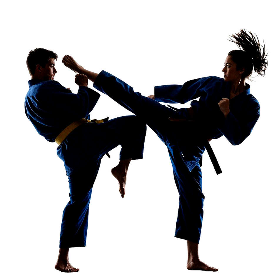 Reading Martial Arts Through the Right Lens: The Taolu Floor, the Cage, and the Cost of a Missing Label