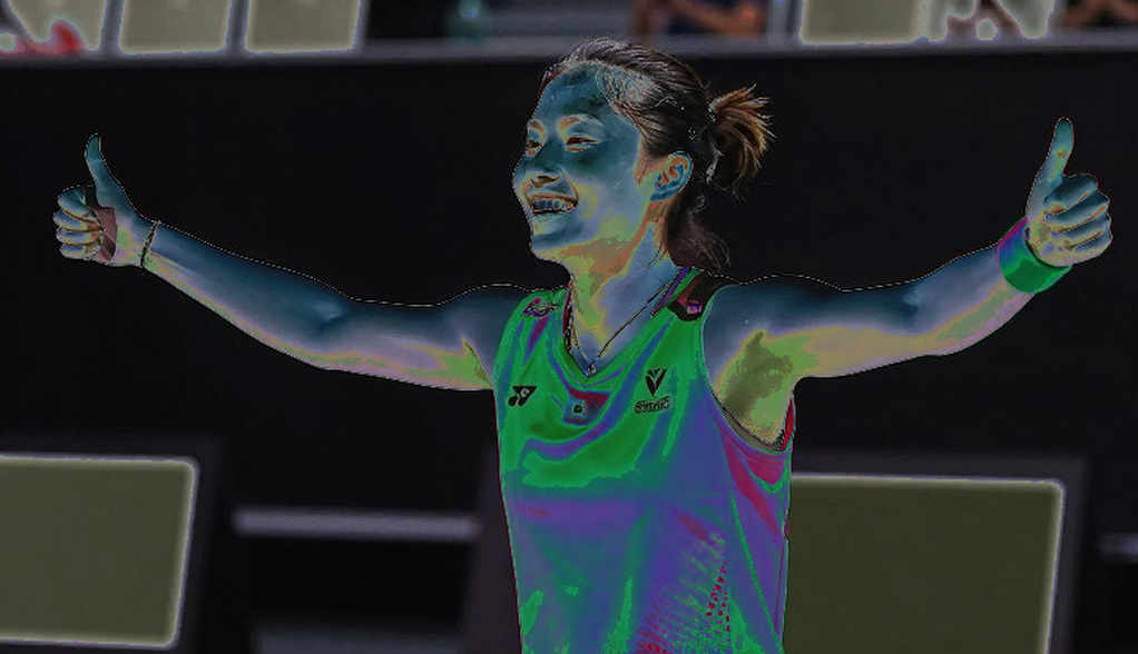 The Empty Badminton Data Sheet and the Limits of Surface Analysis The Empty Badminton Data Sheet and the Limits of Surface Analysis